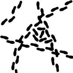 Vector silhouette of human footprints walking irregularly. Black footprints appear from all directions on a white background.