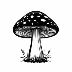 Black and White Vector Illustration of Mushrooms. Whimsical Botanical Art with Silhouette Details