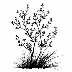 Fototapeta premium Tropical Tree Silhouette. Eco-Friendly Botanical Illustration with Detailed Leafy Design