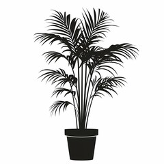 Indoor Lush Palm Plant Silhouette. Exotic Greenery for Stylish Home Decor & Wellness
