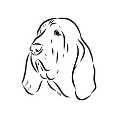 Decorative portrait in profile of dog Bloodhound