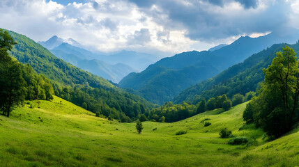 Fototapeta premium Panorama Of Lush Green Valley With Mountains