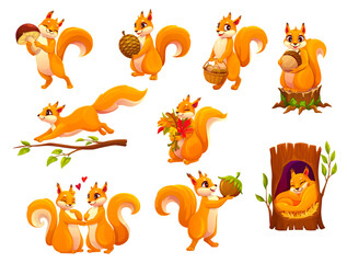 Cartoon squirrel animal characters set. Cute forest animal vector personages with nuts, mushroom, pine cone and acorns in basket. Cartoon red squirrels running on tree branch and sleeping in hollow © Vector Tradition