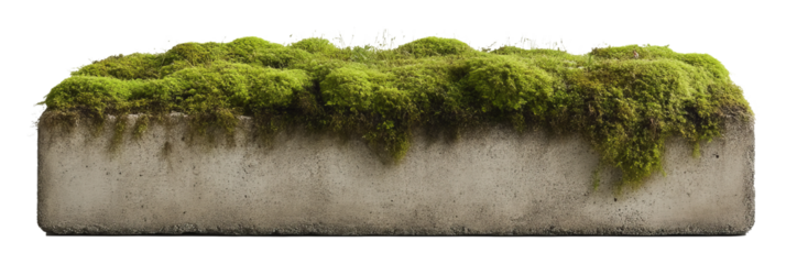 Mossy concrete block with lush green cover and natural detail landscape concept