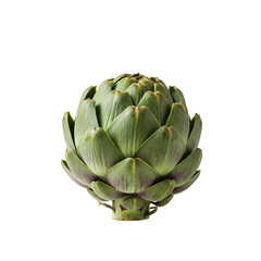 Obraz premium A vibrant, fresh artichoke, ready for culinary adventures, captured against a clean white background with bright, even lighting.