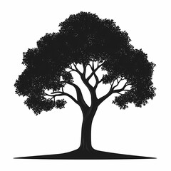 Silhouette of a Beautiful Tree. Scenic Nature Illustration with Black Branches and Foliage