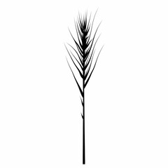 Fototapeta premium Black and White Plant Illustration. Elegant Botanical Silhouette Art with Organic Fiber Textures