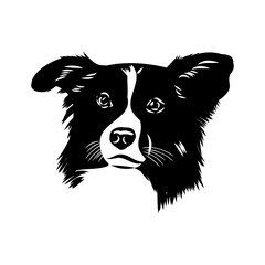 Border Collie Dog Vector isolated on white background, Dog Silhouettes.