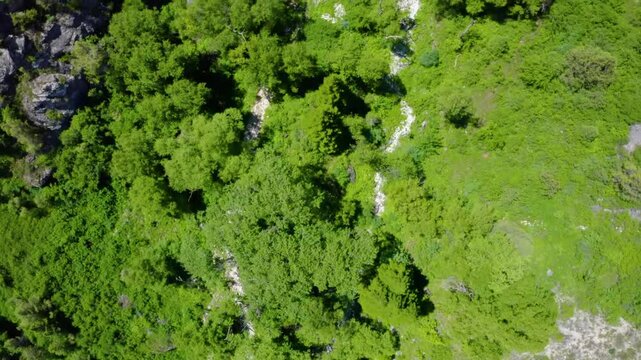 Beautiful 4K aerial view of Tumalog Falls in Oslob, Cebu, Philippines, featuring the cascading waterfall surrounded by lush tropical forest and steep rock walls.