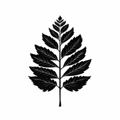 Naklejka premium Monochrome Botanical Art. Eco-Friendly Leaf Silhouette for Sustainable Home Decor