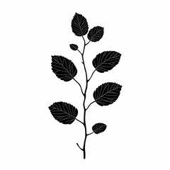 Obraz premium Minimalist Black and White Botanical Leaf Illustration for Eco-Friendly Wall Art Decor