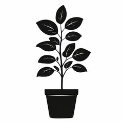 Indoor Potted Plant Black Silhouette. Decorative Houseplant Art for Eco-Friendly Interior Design