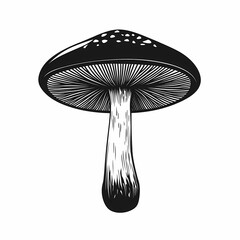 Black and White Mushroom Illustration. Detailed Botanical Art of Fungi with Rustic, Whimsical Patterns