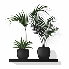 Modern Minimalist Home Decor with Potted Plants and Fresh Greenery
