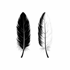 Minimalist Feather Illustration. Black and White Feather Vector Art for Nature-Inspired Graphic Design