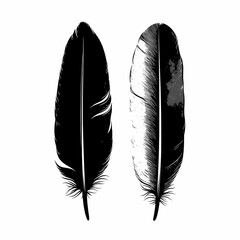 Elegant Black and White Feather Illustration. Monochrome Nature Art for Stylish Home Decor and Paper Crafts