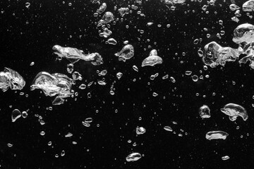 Many water bubbles on dark background, closeup