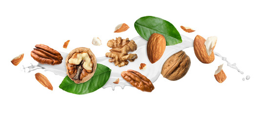 Milk splash with different nuts in air on white background