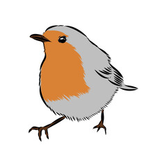 Simple black outline vector drawing. Robin bird isolated on white background. Sketch in ink.