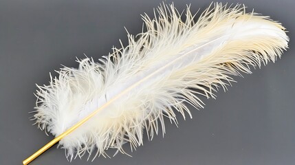 Delicate White Feather Close-Up on Subtle Gray Backdrop Creates Elegance