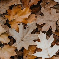 Autumn Leaves Ground Cover: Dried Fallen Maple Leaves Texture