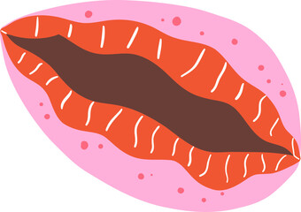 Hand Drawn Open Cowrie Shell