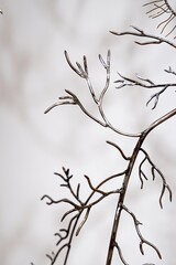  Detailed view of a metal sculpture with branch-like forms against a neutral background.
