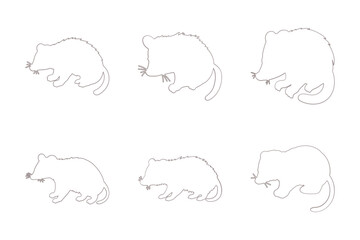 Fototapeta premium Opossum Outline Icon Set. Animal Illustration Design