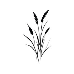 Black Silhouette of Grasses and Grain Stalks on Transparent Background