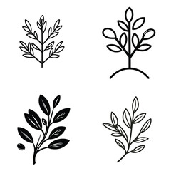 Botanical Twigs Icon Set, Silhouette Leaves Branches, Graphic Elements, Transparent