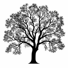 Black and White Leafless Tree Silhouette. Artistic Nature Illustration for Graphic Design and Decoration
