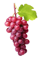 Fototapeta premium Ruby Roman Grapes on transparent background