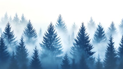 Obraz premium Scenic Forest, Mist Enshrouded Conifer Trees, Ethereal Woodland Landscape, Blue Hue
