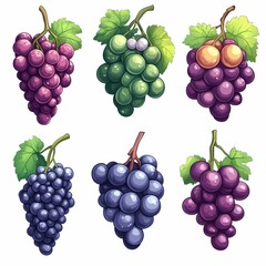 Realistic Green and Purple Grapes Illustration - Vector Art of Fresh Produce with Vine Leaves for Health Food & Cooking Ingredients