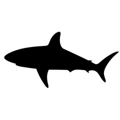 shark animal black silhouette icon - designs for jungle animals shark Safaris, wildlife, rainforest, vector on a white transparent.