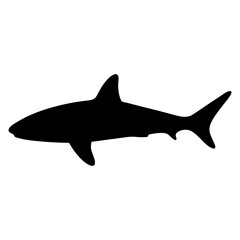 Obraz premium shark animal black silhouette icon - designs for jungle animals shark Safaris, wildlife, rainforest, vector on a white transparent.