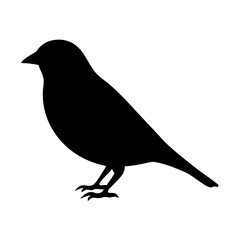 sparrow animal black silhouette icon - designs for jungle animals sparrow Safaris, wildlife, rainforest, vector on a white transparent.