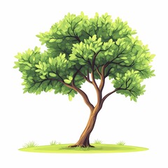 Fototapeta premium Vector Illustration of a Leafy Green Tree - Nature Inspired Artwork for Sustainable Living and Outdoor Landscape Designs