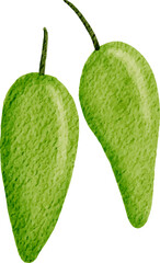 Watercolor illustration chili