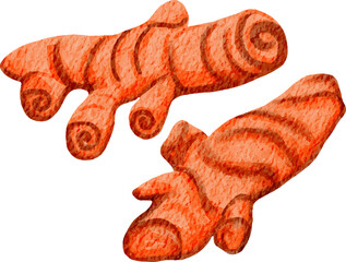watercolor illustration turmeric