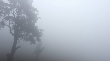 Foggy landscape with silhouetted trees and dense atmosphere.