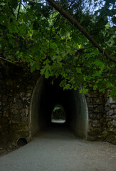 Obraz premium Tunnel Under The Road On The Trail Up Mount Storm King