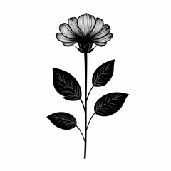 Fototapeta premium Black and White Flower Illustration. Elegant Botanical Art with Minimalist Silhouette Design for Modern Wall Art Decor