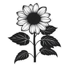 Fototapeta premium Elegant Black and White Sunflower Illustration - Botanical Art for Nature-Inspired Decor