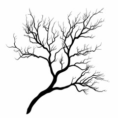 Abstract Black Tree Silhouette Vector Art. Decorative Bare Branches for Rustic Seasonal Designs