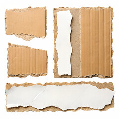 blank ripped cardboard scraps isolated on white background png