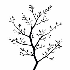 Obraz premium Tree Silhouette with Branches and Foliage. Black and White Botanical Art Vector Illustration