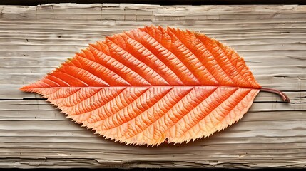 Autumn's touch: A Vibrant Orange Leaf Adorning Rustic Weathered Wood Planks