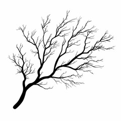 Obraz premium Black and White Tree Branch Silhouette. Minimalistic Abstract Nature Art for Eco-Friendly Design
