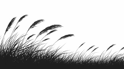 Obraz premium Silhouetted Grasses in Black and White. A Tranquil and Artistic Botanical Landscaped Field